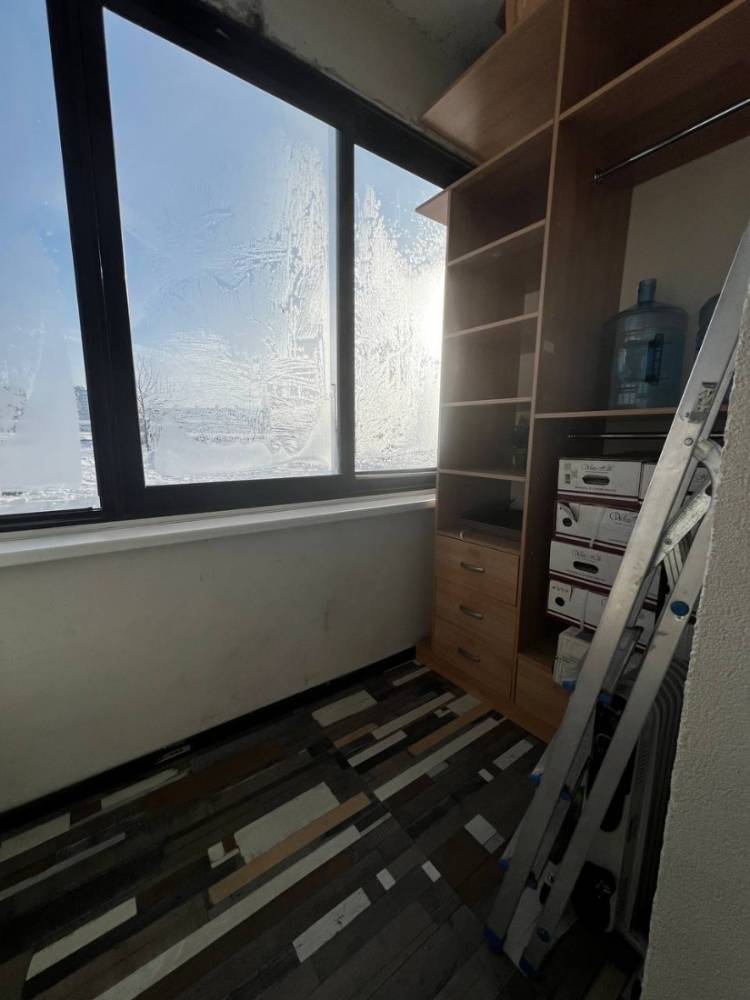 photo_5282739444450530951_y