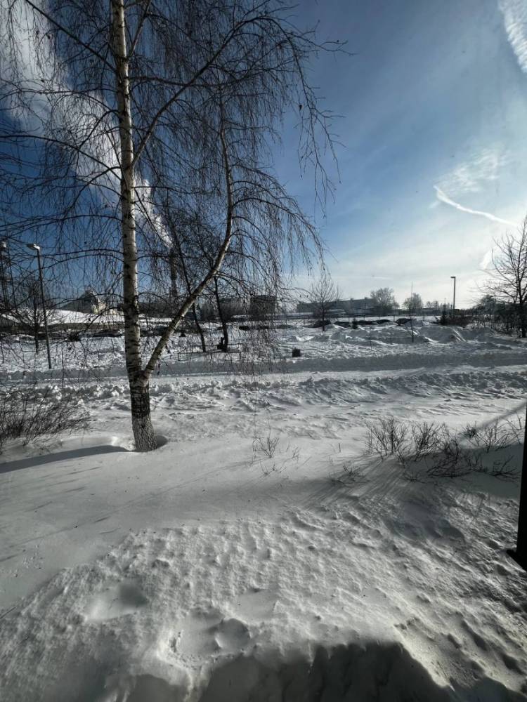 photo_5282739444450530945_y