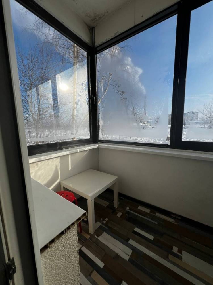 photo_5282739444450530952_y