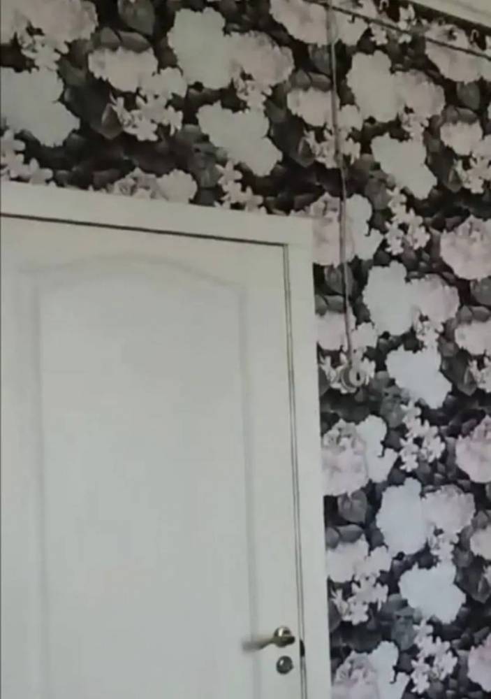 photo_5284991244264215023_y