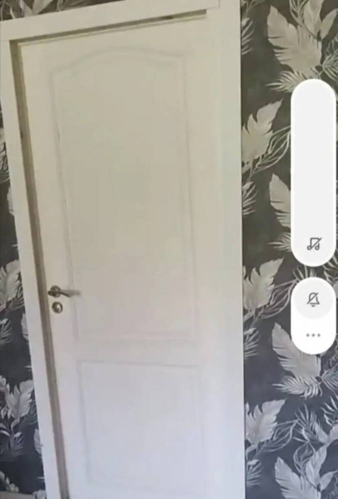 photo_5284991244264215016_y