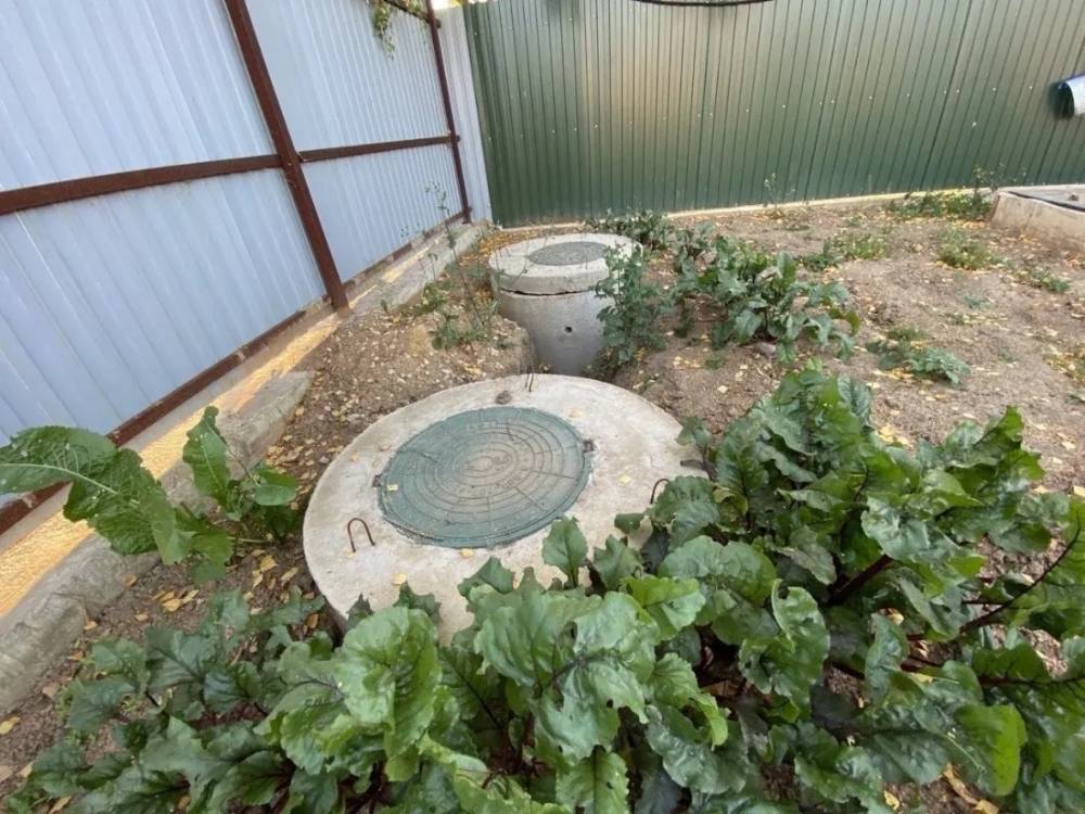 ftfrewkly4lvjmghhjifzggongwcmgde4bjt177dzkurasatgywomqztp4lmunhrtqr3cvp24lgjgkrbsp49tccy